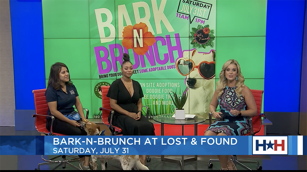Lost & Found to host Bark-N-Brunch